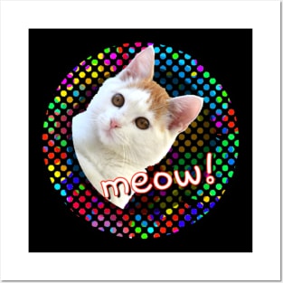 Disco Cat Posters and Art